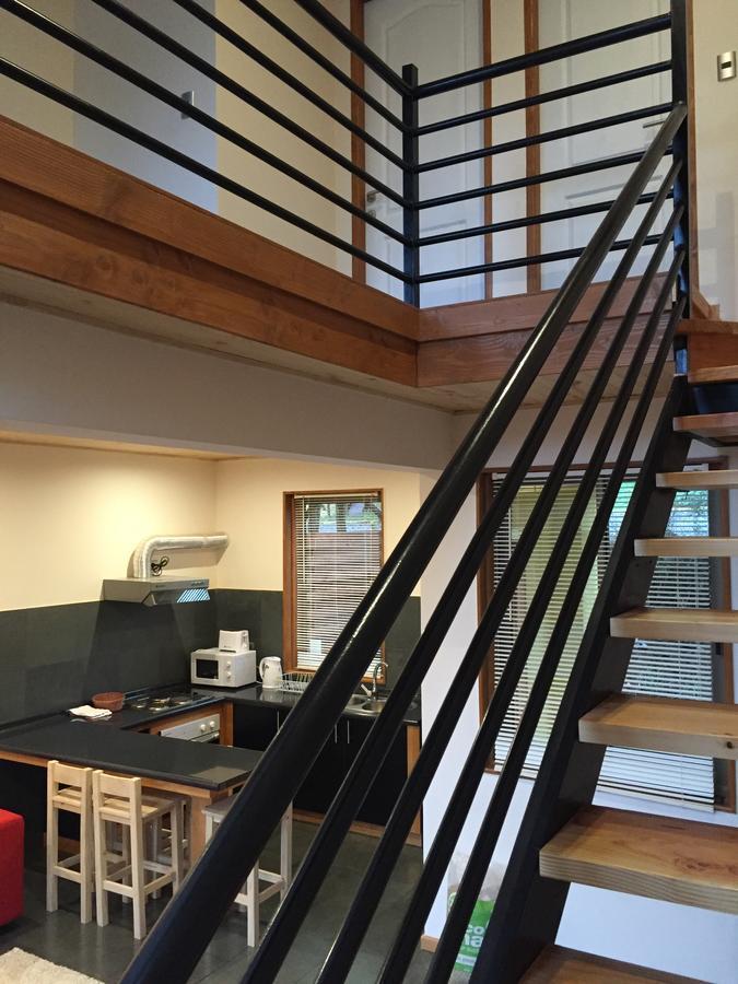 الشقق الفندقية Loft Pucón المظهر الخارجي الصورة
