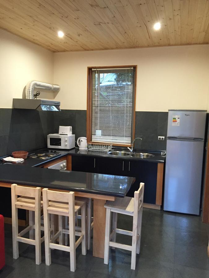 الشقق الفندقية Loft Pucón المظهر الخارجي الصورة