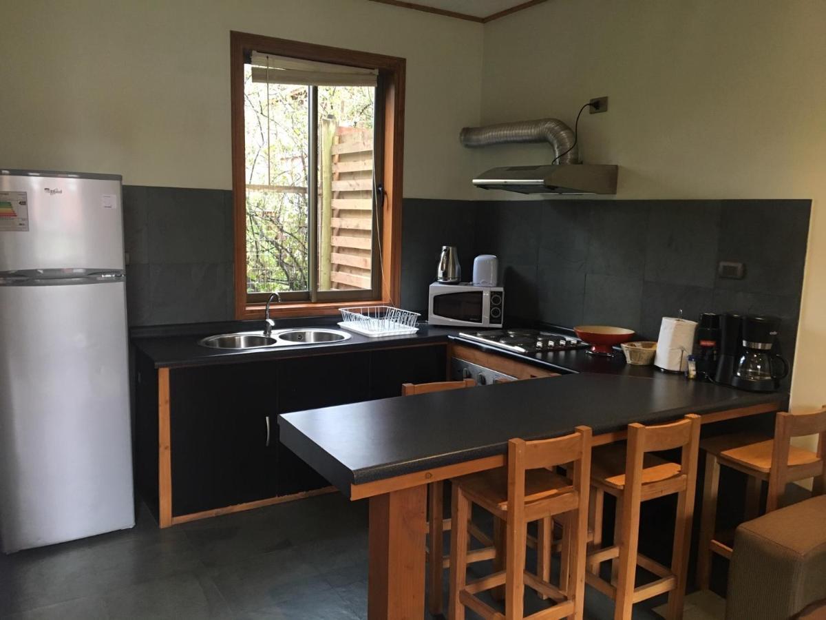 الشقق الفندقية Loft Pucón المظهر الخارجي الصورة